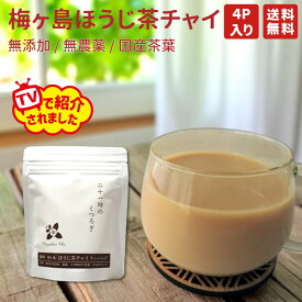 二十一時のくつろぎ 梅ヶ島ほうじ茶 チャイ 20g 5g×4包 ティーバッグ 静岡県産 国産 ほうじ茶 スパイス オーガニック 無添加 無着色 スイーツ お菓子 アイス ホット