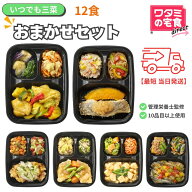 数量限定5％OFF　ワタミの宅食ダイレクト いつでも三菜 「おまかせ12食セット」冷凍弁当 お試しセット 最…