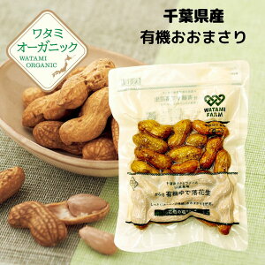 L@ŗԐ 160g ܂ 嗱 ^~ I[KjbN L@JAS tY R_ Ԑ ŗԐ I[KjbNԐ قق Ƃ Â 䥂ŗԐ