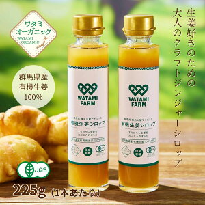 L@IVbv 225g Y 傤 WW[Vbv L@JAS IVbv WW[ 肨낵I 傤Vbv I[KjbNI VEK h l̐IVbv L@