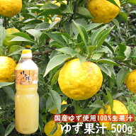 ゆず果汁 100％ 500g（ゆず酢 柚子果汁 果実酢 大分県 国産 ゆず酒にも 柚子酢 業務用食材）