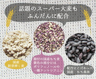 (送料無料)21種雑穀米200g国産(自社農園のうるち玄米と話題のβグルカンのもち麦も配合!)21品目の栄養を1杯のご飯でサプリする※メール便発送全国一律送料無料※