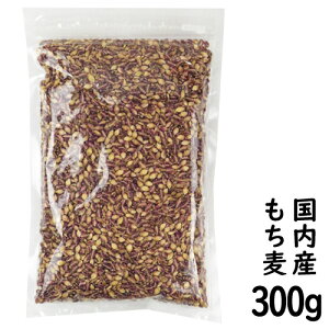() 300g(Y Y 1000~ۂ |bL)h{̍ktI唞 b̐nH@ OJILxB֗ȃWbvtI([ւŔISꗥ)