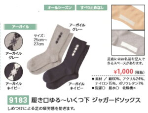 y25cm`27cmE`@WK[h\bNXzEyA[KClCr[EA[KCO[zEÁEEݑE{݁EEpCE퐶piEI[V[Y