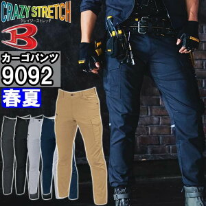 P2{I}\ԁƕ J[Spc 9092 4L-5L t o[g BURTLE ˍ tN^[ ƒ Y