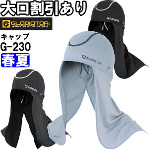 ƕ jICNALjW G-230 t[ t R[RX OfBG[^[ CO-COS GLADIATOR ڐG⊴ ƒ Y