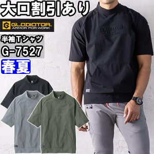 ubNtCf[P2{Iƕ ⊴Xgb`bNlbNVc G-7527 XS-XL t R[RX OfBG[^[ CO-COS GLADIATOR ڐG⊴ z ƒ jZbNX