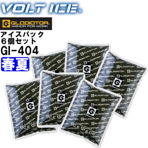 yszyԕisz ƕ ACXpbN6Zbg GI-404t R[RX OfBG[^[ CO-COS GLADIATOR p  ₽ MǑ΍