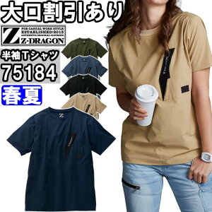 ƕ Xgb`TVc 75184 EL t d W[hS Jichodo Z-DRAGON Xgb` ƒ jZbNX Y fB[X