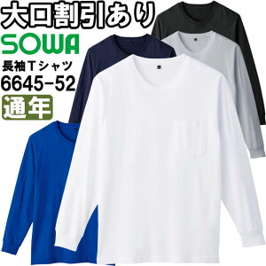 ƕ |PbgtTVc 6645-52 SS-3L ʔN Ka SOWA 100 ƒ jZbNX Y fB[X