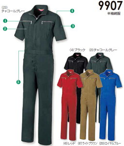  Ȃ ciM  9907 (S`LL) 9900V[Y KaiSOWAj I[V[Y(Nԁjƕ ƒ 