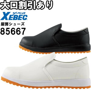 P2{I}\ԁƕ W[xbN XEBEC ZteB~[V[Y 85667 22.0cm-30.0cm ϊ\[ SC ƌC jZbNX Y fB[X
