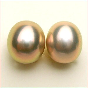 CNp[@GbOVFCv̍̃TCÝ@8_8.5~@Ԃ牺sAXACOp@ŏ㋉NIeB[