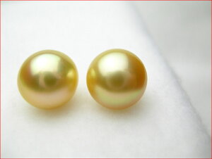 i`S[f@mp[͂13~Abv@PUP090713MJ10