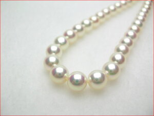 ̂@Ƃт肫ꂢȃp[W߂đg񂾓ʎdl@7.5-8~^lbNX@VӒ菑t@7.5-8~COZbg