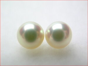 sN^@}L̂肵ꂢɂ7.8~yA[X@ytokai1106salez