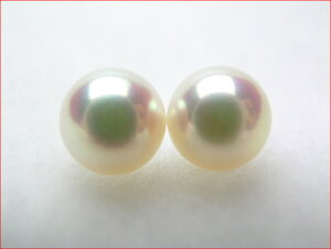 sN^yA[X@}L̂肵@ꂢɂ7.8~yA@080424UP10