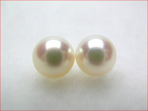 �s���N�@�A�R���p�[���@�}�L�̂������肵���@���ꂢ��7.8�~���j�A�y�A�ytokai-timesale0218�z