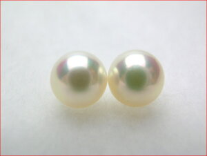 sN@AR^@}L̂肵@ꂢɂ7.6~yA[X@ytokai1106salez