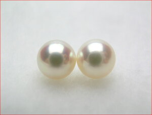 �s���N�@�A�R���p�[���@�}�L�̂������肵���@���ꂢ�ɂ������7.6�~���y�A�@�ytokai1106sale�z