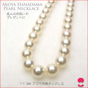 ^lbNX7|7D5~@480000192000 10P15Jan10