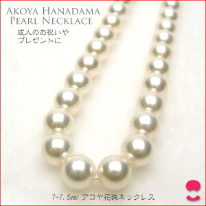 ^lbNX7|7D5~@01027263640000256000@0619PUP10JU