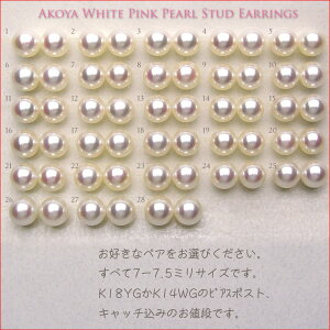 �`���`���R�̃M���Ԃ��H�Ɂ@�{�C���[�h�́@���肬�艿�i�I �@�ytokai1106sale�z