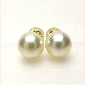 �C�G���[�S�[���h�A�R���p�[���s�A�X �ytokai1106sale�z