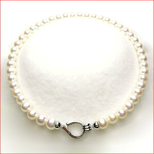 zCgsN̑嗱Wp[lbNX@8-8.5~ ytokai1106salez