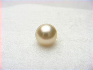 E y_g@Op@m^샋[X@11.6~