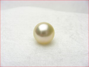 E y_g@Op@m^샋[X@11.8~