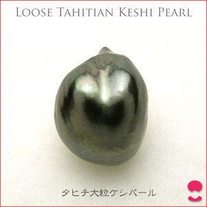 ^q`^삨PVobN@13~Abv̑嗱[X 0619PUP10JU