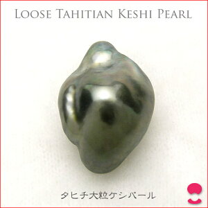 ^q`^삨PVobN@13~Abv̑嗱[X 0619PUP10JU