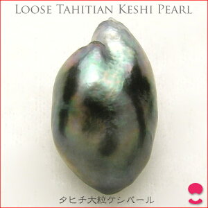 ^q`^삨PVobN@12~Abv̑嗱[X 10P15Jan10