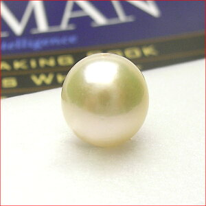 10~Abv@ȋ@͂߂ɂȂII^@y_gp@10P09Dec09