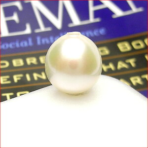 10~Abv@ȋ@͂߂ɂȂII^@y_gp@@10P09Dec09