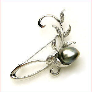 Vo[ [t`[t@12.0~@^q`PV^u[`I 10P12feb10 y100215z