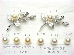 SVo`[t@^u[`@ee9~AbvIDȐF̐^Iׂ܂@@@10P03Aug09