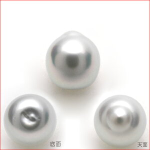 E y_gp@m^샋[X@10.8x10.1~@28aug09P10