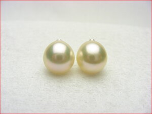 10~Abv@^ jAyA[X@Ԃ牺py1225z