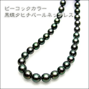 ZO[jbVubNn@^q`^lbNX 8.0-10.3~@ytokai1106salez