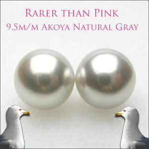 i`O[@9.5~@^yA[X@y1225z