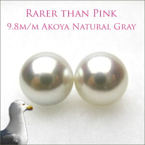 i`O[@܂ɓȂ傫@9.8~@p[i^jyA[X@PUP090713MJ10 10P21Jul09