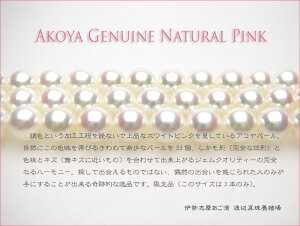 c{ƂȂ܂IARF̍ōII@^i`sNJ[lbNX7.5-8~ ytokai-timesale0213z