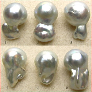 ̂ARobNp[[X@ׂ10~Abv@0619PUP10JU