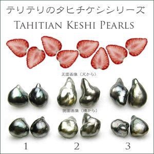 eẽPVp[yA[X@H܂ 10P10Jan25