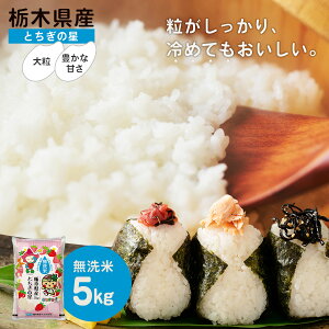 【 送料無料 】栃木県産 無洗米 とちぎの星 5kg 5キロ お米 ご飯 白米 御米 精米 とちぎ 御飯 とちぎのほし とちぎ 栃木 プレゼント グルメ