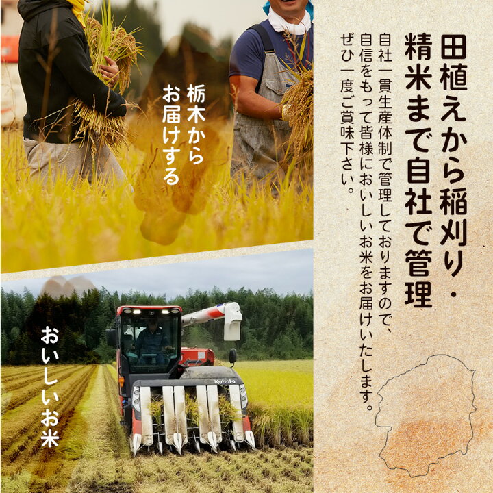 楽天市場】令和7年産【 送料無料 】栃木県産 無洗米 とちぎの星 2kg 2 
