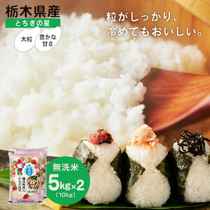 【 送料無料 】栃木県産 無洗米 とちぎの星 10kg (5kg×2袋) 10キロ お米 ご飯 白米 御米 精米 とちぎ 御飯 とちぎのほし とちぎ 栃木 プレゼント グルメ