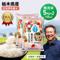 【楽天スーパーSALE】令和7年産【 送料無料 】栃木県産 無洗米 10kg とちぎの星 10kg (5kg×2袋) 10キロ …